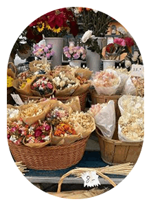 Cours Saleya market3