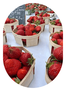 Cours Saleya market6
