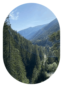 Forêt de la Maluna, Saint-Martin-Vésubie4